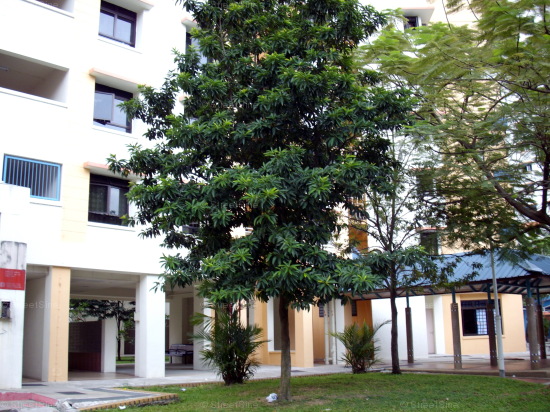 Jurong West Street 65 thumbnail photo